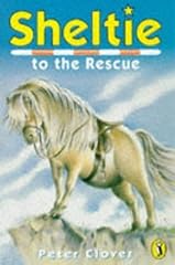 Sheltie sheltie rescue for sale  Delivered anywhere in UK