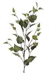 Artplants kunstzweig birkenzwe gebraucht kaufen  Wird an jeden Ort in Deutschland