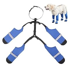 Hosenträger hunde haustiersch gebraucht kaufen  Wird an jeden Ort in Deutschland