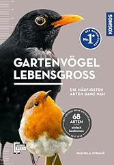 Gartenvögel lebensgroß leben gebraucht kaufen  Wird an jeden Ort in Deutschland