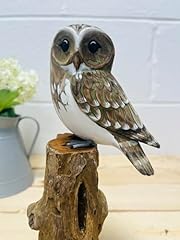 Square mile bird for sale  Delivered anywhere in UK
