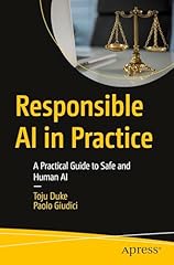 Responsible practice practical usato  Spedito ovunque in Italia 