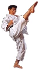 Shureido sensei tournament for sale  Delivered anywhere in USA 