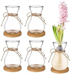 Bulb glass vases for sale  Delivered anywhere in USA 