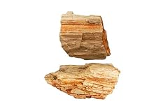 Kidz rocks petrified for sale  Delivered anywhere in USA 