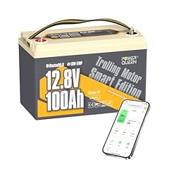 Power queen 12v gebraucht kaufen  Wird an jeden Ort in Deutschland