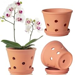 Inch terracotta orchid for sale  Delivered anywhere in USA 