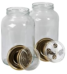 Myferments lot bocaux d'occasion  Livré partout en Belgiqu