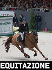 Hertogenbosch grande slam usato  Spedito ovunque in Italia 
