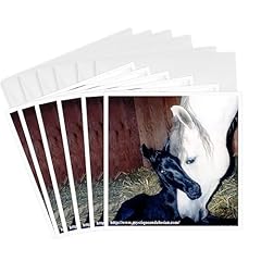 Greeting cards andalusian for sale  Delivered anywhere in USA 