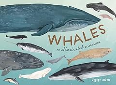 Whales illustrated celebration for sale  Delivered anywhere in UK