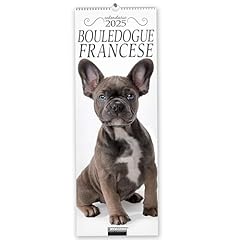 Bouledogue francese. calendari usato  Spedito ovunque in Italia 