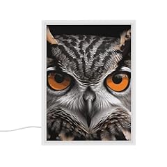 Vfklt owl eyes for sale  Delivered anywhere in USA 