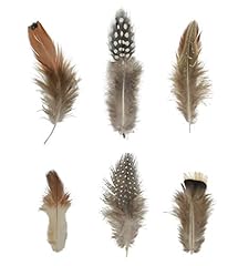 Craft feathers natural for sale  Delivered anywhere in USA 