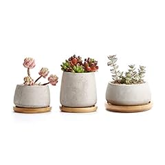 T4u pots succulent d'occasion  Livré partout en France