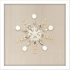 Caparazon seashells coastal for sale  Delivered anywhere in USA 