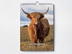 Highland cow calendar for sale  Delivered anywhere in UK