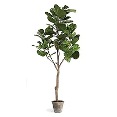 National tree company for sale  Delivered anywhere in USA 