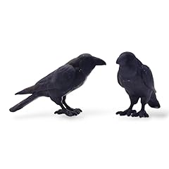 Miniature raven crow for sale  Delivered anywhere in USA 