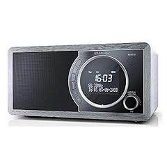 Sharp 450 digitalradio gebraucht kaufen  Wird an jeden Ort in Deutschland