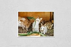 Poster reproduction group for sale  Delivered anywhere in USA 