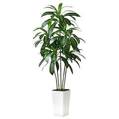Artificial dracaena tree for sale  Delivered anywhere in USA 