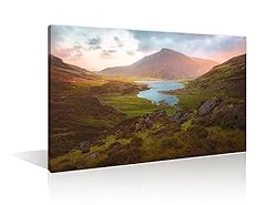 Tishiron panel wall for sale  Delivered anywhere in UK