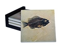 Fossil fish images for sale  Delivered anywhere in USA 