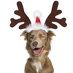 Bwogue dog elk for sale  Delivered anywhere in USA 
