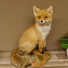 Fuchs rotfuchs sitzend gebraucht kaufen  Wird an jeden Ort in Deutschland