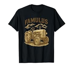 Famulus traktor ldtimer gebraucht kaufen  Wird an jeden Ort in Deutschland