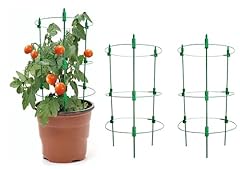 Adjustable tomato plant for sale  Delivered anywhere in USA 