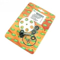 Kit revisione pompa usato  Spedito ovunque in Italia 