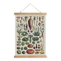 Xiaoaika vintage vegetable for sale  Delivered anywhere in USA 