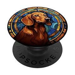 Chocolate dachshund dog for sale  Delivered anywhere in UK