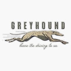 Greyhound sticker bumper for sale  Delivered anywhere in USA 