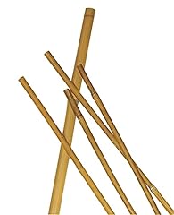 Verdelook cannetta bamboo usato  Spedito ovunque in Italia 