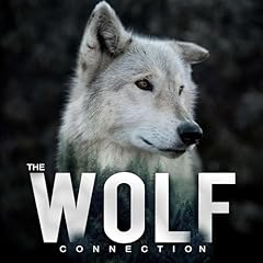 Wolf connection for sale  Delivered anywhere in UK