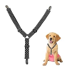 Euykqnoi mutandine cane usato  Spedito ovunque in Italia 