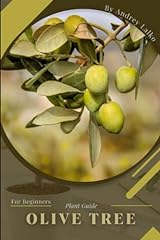 Olive tree plant for sale  Delivered anywhere in USA 