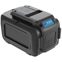 Aaiwtd 40v 5.0ah for sale  Delivered anywhere in USA 