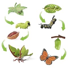 8pcs caterpillar butterfly for sale  Delivered anywhere in UK