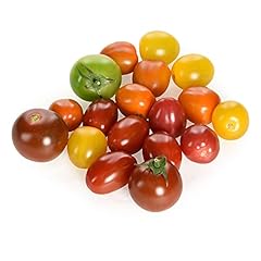 Isle wight tomato for sale  Delivered anywhere in UK