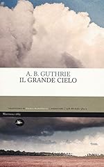 Grande cielo usato  Spedito ovunque in Italia 