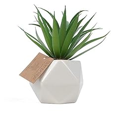 Bornbridge artificial succulen for sale  Delivered anywhere in USA 