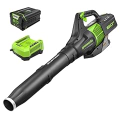 Greenworks 80v cordless for sale  Delivered anywhere in USA 