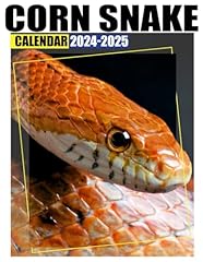 Corn snake calendar for sale  Delivered anywhere in USA 