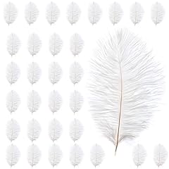 Bdbfpan lot plumes d'occasion  Livré partout en Belgiqu