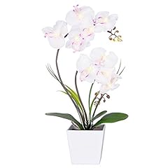 Homeseasons homeseaons orchid for sale  Delivered anywhere in USA 