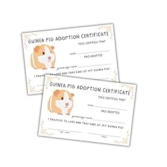 Guinea pig adoption for sale  Delivered anywhere in USA 